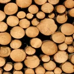 Pine Wood Logs